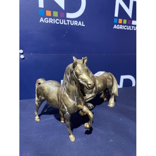 324 - BRASS HORSES