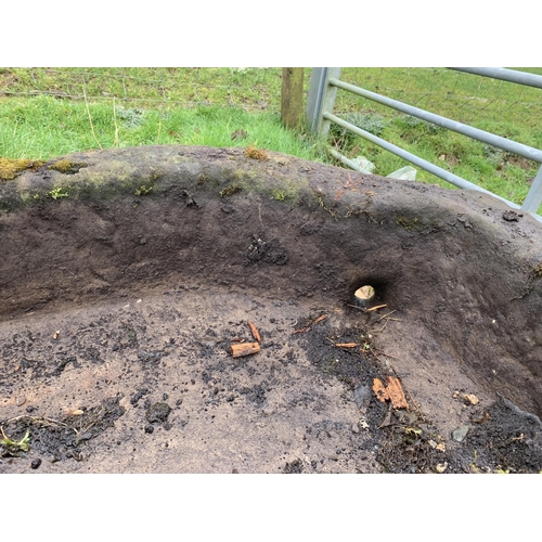 50 - 17TH CENTURY CARVED SANDSTONE TROUGH