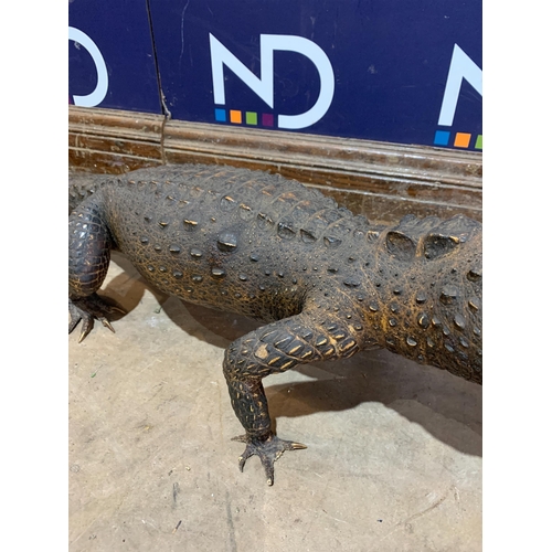 124 - LARGE VICTORIAN TAXIDERMY CROCODILE