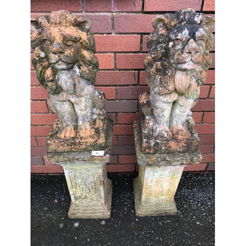 21 - PAIR OF TERRACOTTA STONE LIONS ON PLINTHS