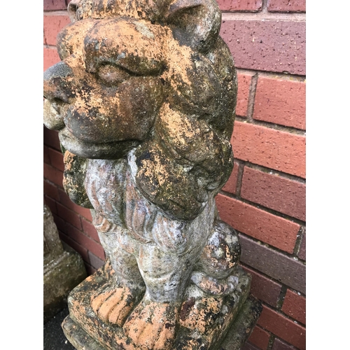 21 - PAIR OF TERRACOTTA STONE LIONS ON PLINTHS