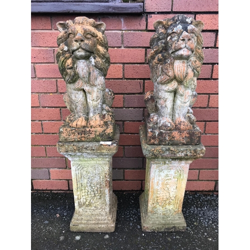 21 - PAIR OF TERRACOTTA STONE LIONS ON PLINTHS