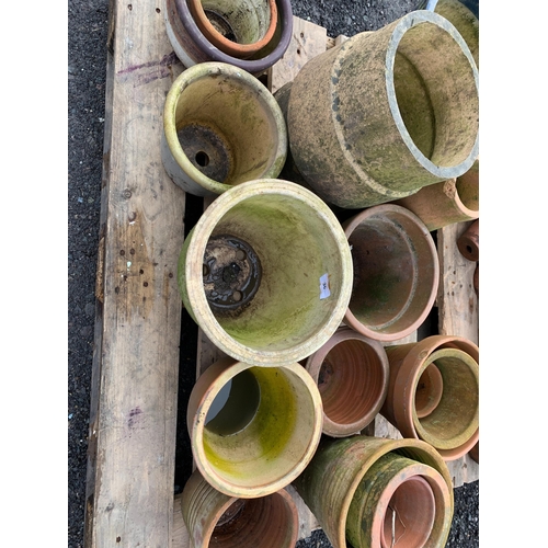 36 - QTY OF TERRACOTTA POTS