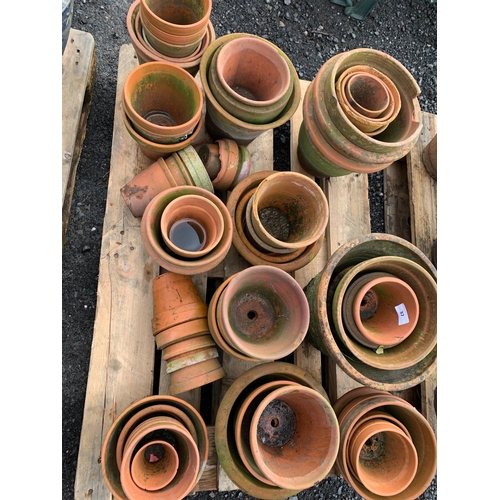 37 - QTY OF TERRACOTTA POTS