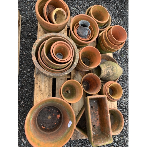 38 - QTY OF TERRACOTTA POTS