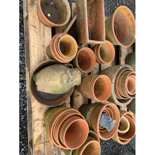 38 - QTY OF TERRACOTTA POTS