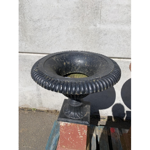 82 - PAIR OF VICTORIAN LARGE WEATHERED CAST URNS