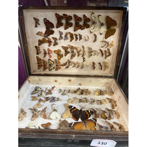 330 - TAXIDERMY BUTTERFLIES