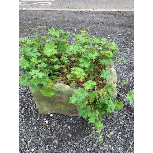 58 - 16TH CENTURY SANDSTONE TROUGH