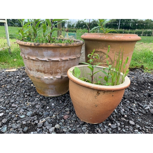 62 - QUANTITY OF TERRACOTTA POTS