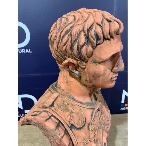 16 - TERRACOTTA BUST AF