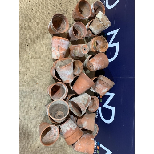 19 - QTY OF TERRACOTTA POTS