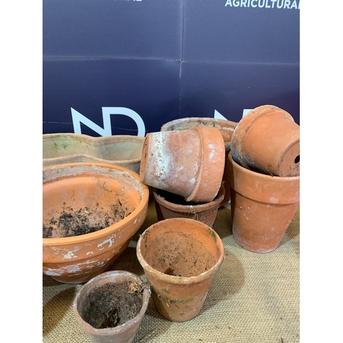 40 - QTY OF TERRACOTTA POTS