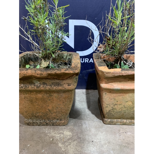 9 - PAIR OF TERRACOTTA PLANTERS