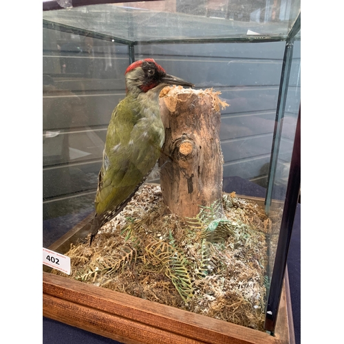 269 - GREEN TAXIDERMY WOODPECKER