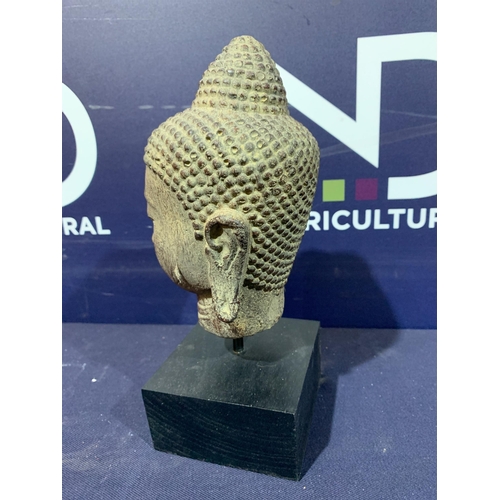 351 - BUDDAH HEAD