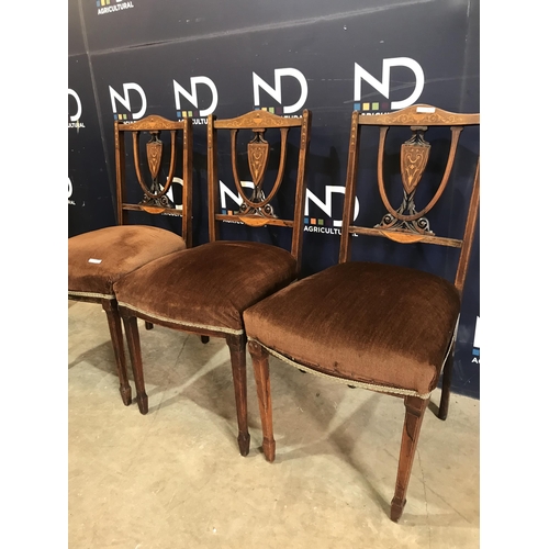 491 - 3 EDWARDIAN DINING CHAIRS