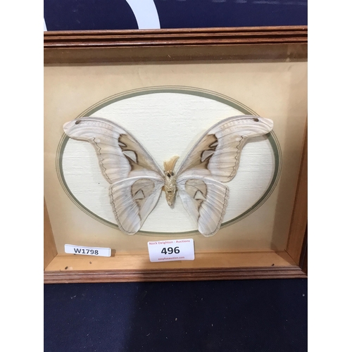 496 - FRAMED BUTTERFLIES