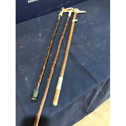 506 - 3 WALKING STICKS