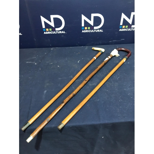 509 - 3 WALKING STICKS