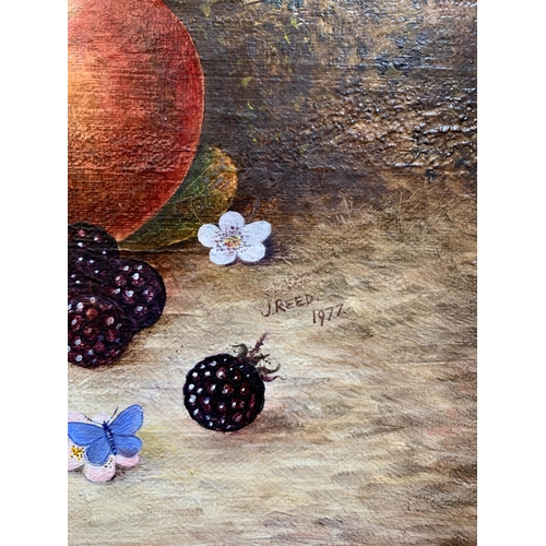 365 - FALLEN FRUIT OIL ON CANVAS