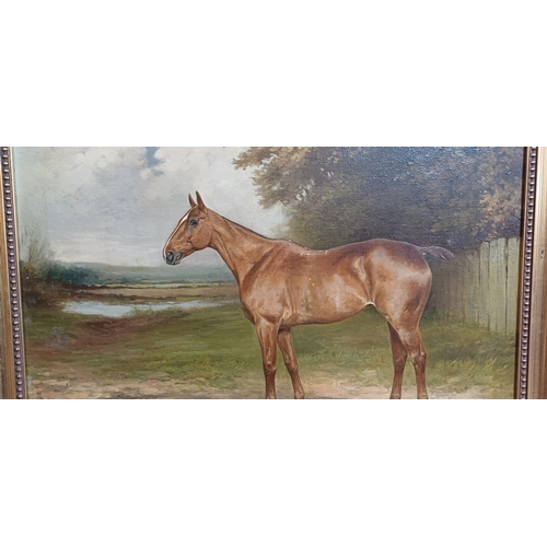 154 - OIL ON CANVAS HORSE PICTURE SIGNED P EARL