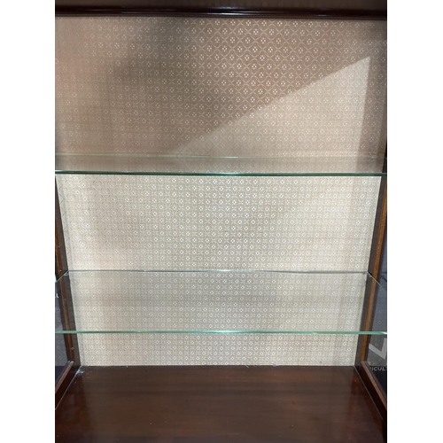 41 - GLASS FRONTED CABINET