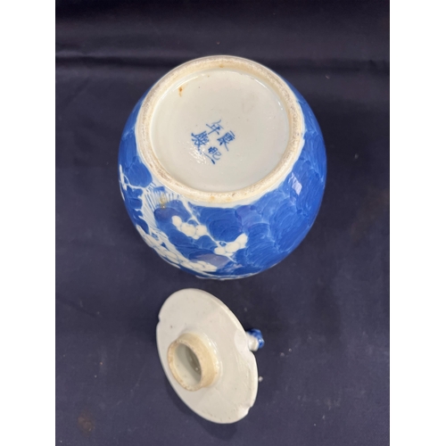 100 - ORIENTAL BLUE AND WHITE GINGER JAR