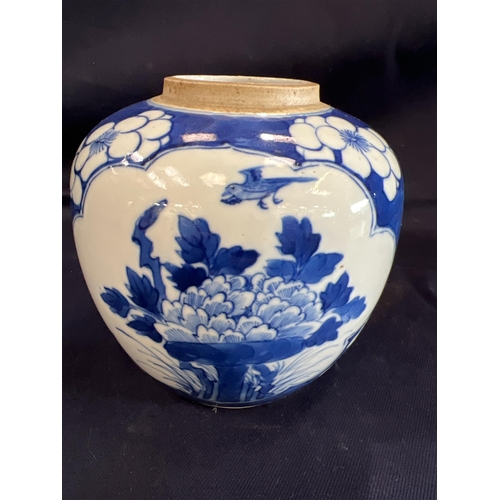 96 - ORIENTAL GINGER JAR