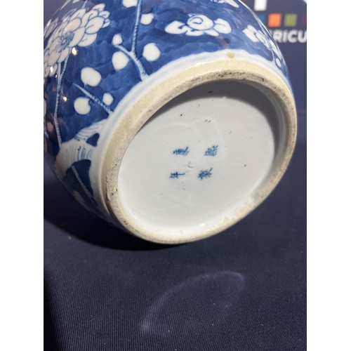 157 - BLUE & WHITE ORIENTAL GINGER JAR