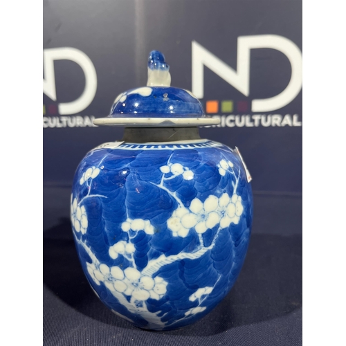 158 - ORIENTAL BLUE & WHITE GINGER JAR