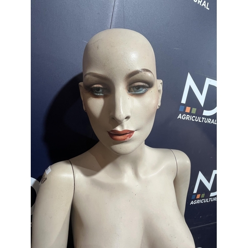 49 - MANNEQUIN