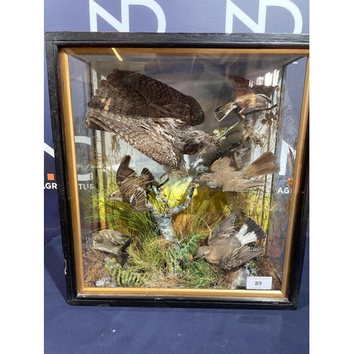 89 - TAXIDERMY EXOTIC BIRDS