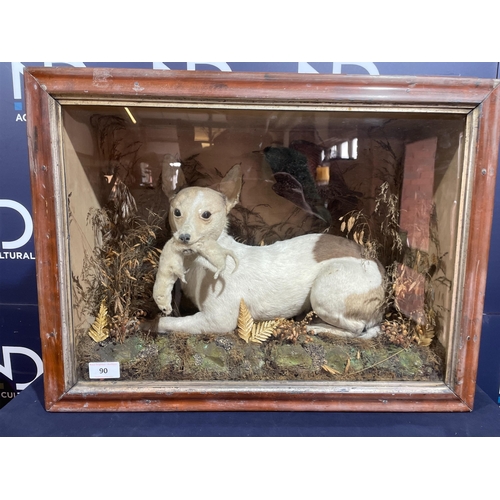 90 - EARLY 19TH CENTURY TAXIDERMY DOG