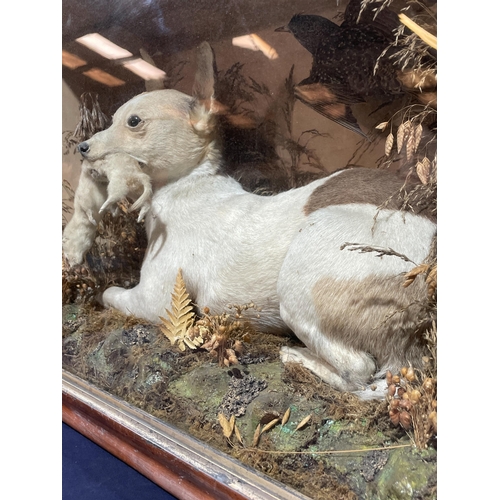 90 - EARLY 19TH CENTURY TAXIDERMY DOG