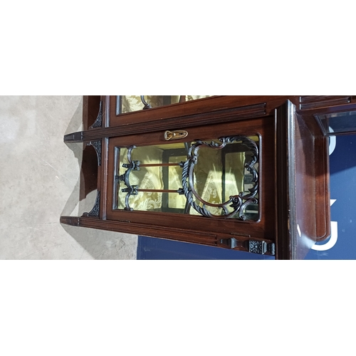 219K - GLASS FRONTED CABINET