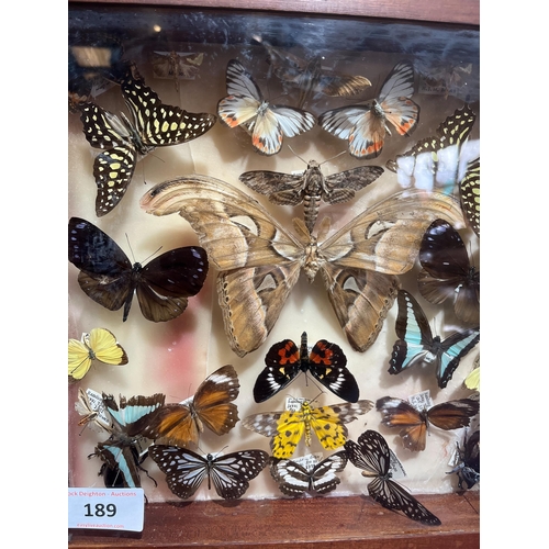 189 - TAXIDERMY BUTTERFLIES