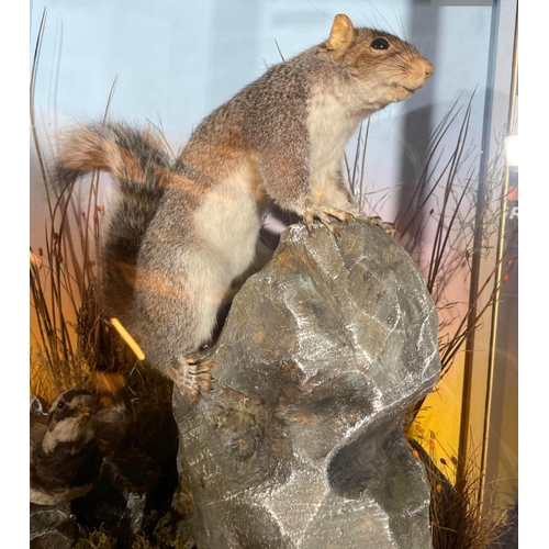 99 - TAXIDERMY SQUIRREL