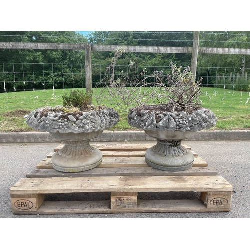 Lot 6         