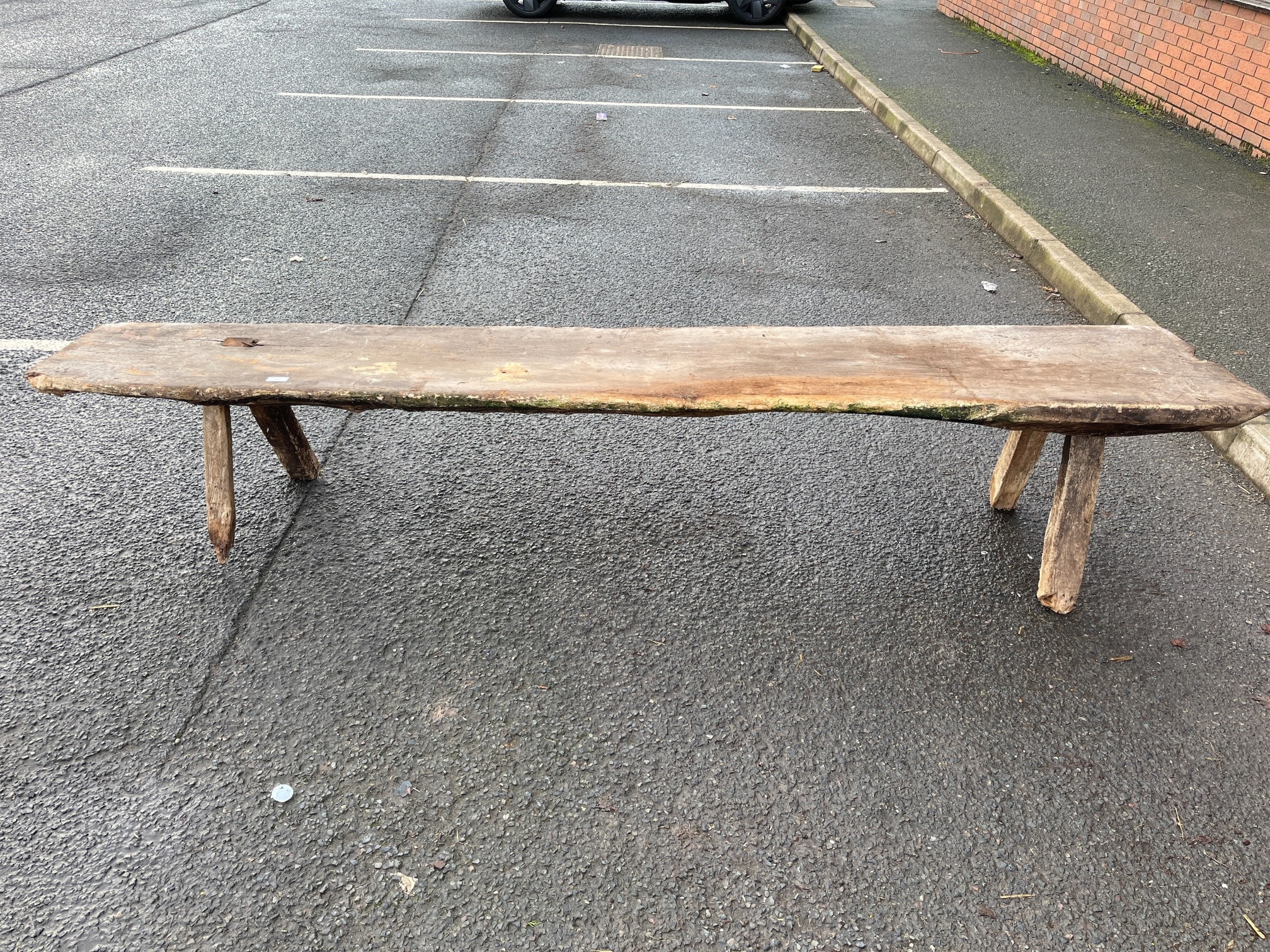 LARGE PIG BENCH