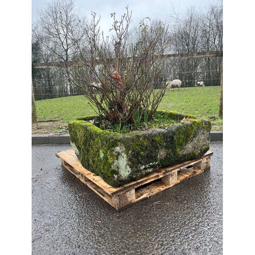 20 - LARGE SQUARE CARVED SANDSTONE TROUGH