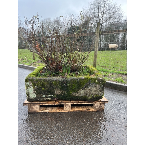 20 - LARGE SQUARE CARVED SANDSTONE TROUGH