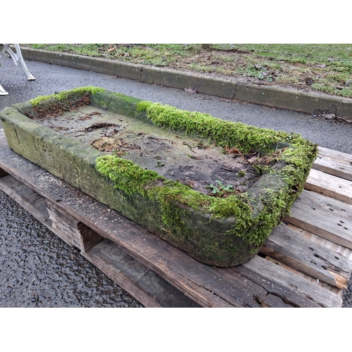 8 - EARLY SANDSTONE SINK