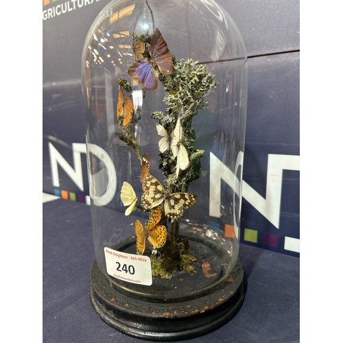 240 - BUTTERFLIES