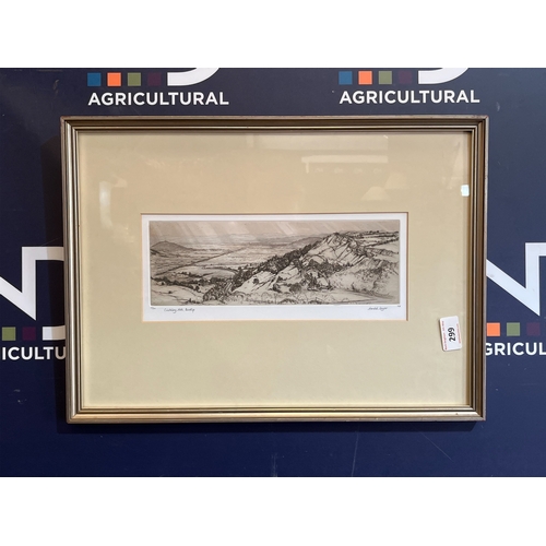 Lot 299       