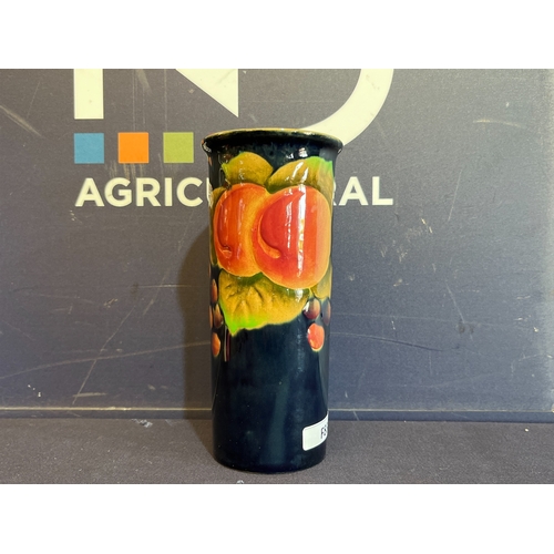 394 - SHELLEY FRUIT VASE