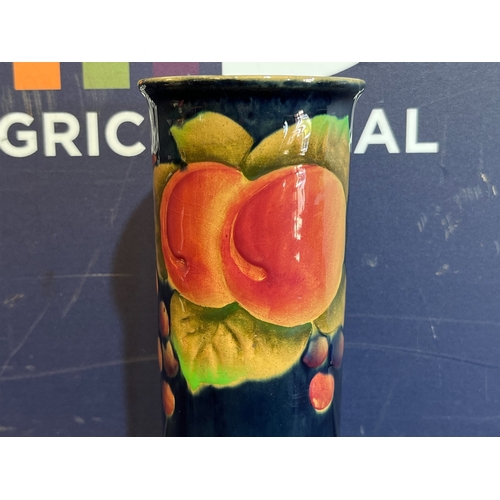 394 - SHELLEY FRUIT VASE