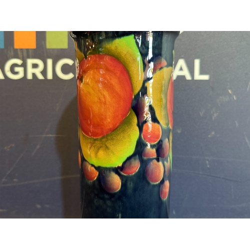 394 - SHELLEY FRUIT VASE
