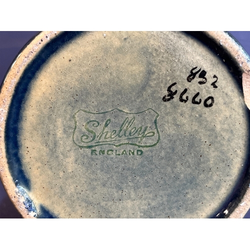 394 - SHELLEY FRUIT VASE