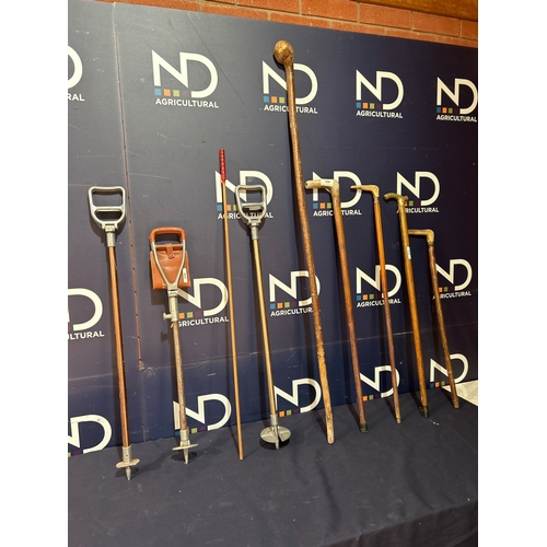 401 - WALKING STICKS